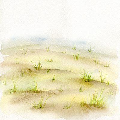 耕された畑の水彩イラスト